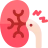 Kidney issues