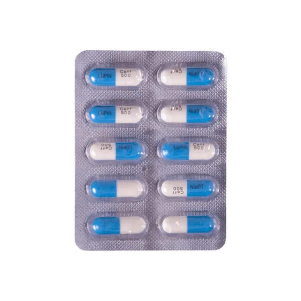 Ceff 500 Capsule - Image 3