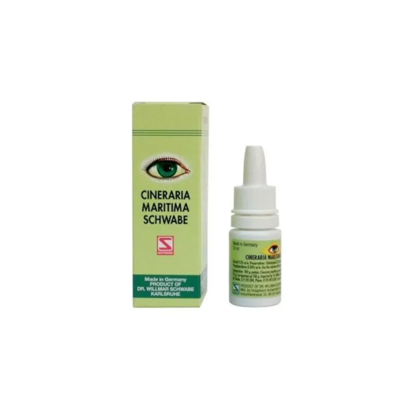Cineraria Maritima 10 ml