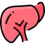 Liver issues